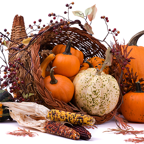 cornucopia-480x480.jpg