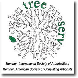 Oahu Tree Preservation, LLC - Jonathan Perry