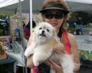 Even doggies can enjoy a day of shopping at Celebrate Kaimuki