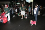 Doggies of many shapes and sizes join the festivities at the Kaimuki Christmas Parade 2011