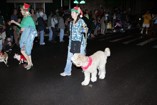 Our furry friends and their owners march along during the Kaimuki Christmas Parade 2011