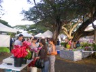 Lovely flowers and fresh produce can be found at the KCC Tuesday Farmers Market