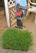 The Wheatgrass Center / Almost Barefoot