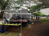 There's plenty to see during the Diamond Head Arts & Crafts Fair