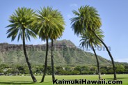 Historic Sites - Kaimuki - Honolulu, Hawaii