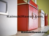 Kaimuki Hawaii Newsletters Archive