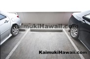 Kaimuki Parking Survey - Retired -Honolulu Hawaii
