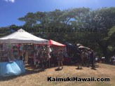 Diamond Head Arts Crafts Fair At Kapiolani Community College KCC 2016 01