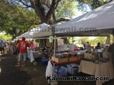 Diamond Head Arts Crafts Fair At Kapiolani Community College KCC 2016 08
