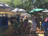 Diamond Head Arts Crafts Fair At Kapiolani Community College KCC 2016 27
