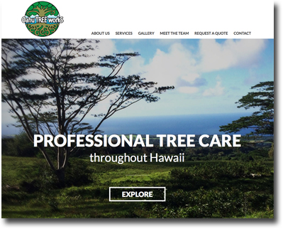 oahu-tree-works-arborist-jonathan-perry-tree-pruning-coupon-discount-000.jpg