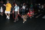 Jolly doggie joins the Kaimuki Christmas Parade
