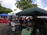Lots of holiday gift ideas at the 2013 Diamond Head Arts & Crafts Fair