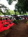 Find holiday plants and crafts at the Diamond Head Arts & Crafts Fair 2013