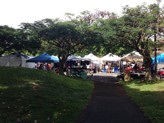 Lots of art vendors and crafters at KCC for the Diamond Head Arts & Crafts Fair