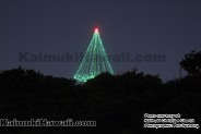 A brightly lit Kaimuki Christmas Tree!