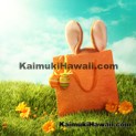 Easter Events Kaimuki - Honolulu Hawaii Coupons Discounts
