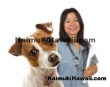 Kaimuki Animal Pet Services and Resources - Honolulu, Hawaii