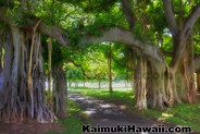 Kaimuki Historic Trail - Honolulu, Hawaii