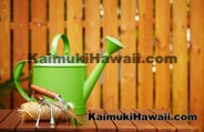 Kaimuki Home and Garden - Honolulu Hawaii