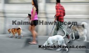 Kaimuki Personal Services and Care - Honolulu, Hawaii