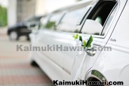Limousines & Taxis - Kaimuki - Honolulu, Hawaii