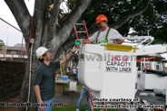 Scott Seu, Hawaiian Electric vice president - system operation, gives a helping hand to Patrick Kawasaki, chief dispatcher. Hawaiian Electric employees volunteer their time, equipment and manpower each year to bring holiday cheer to the small community playground in Kaimuki.